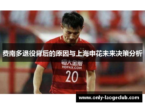 费南多退役背后的原因与上海申花未来决策分析