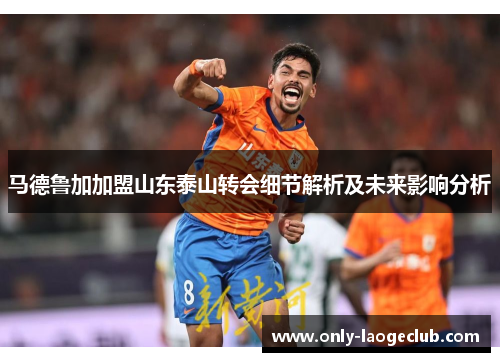 马德鲁加加盟山东泰山转会细节解析及未来影响分析