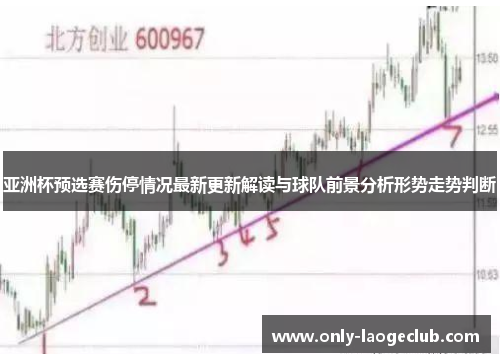 亚洲杯预选赛伤停情况最新更新解读与球队前景分析形势走势判断