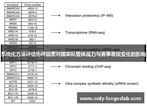 系统化方法评估伤停因素对国家队整体战力与赛事表现变化的影响