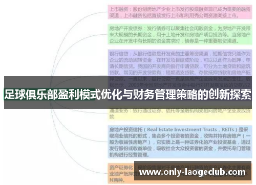 足球俱乐部盈利模式优化与财务管理策略的创新探索