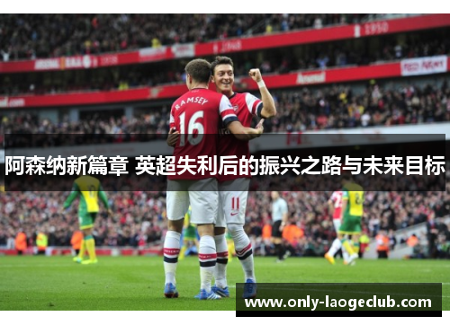 阿森纳新篇章 英超失利后的振兴之路与未来目标
