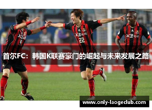 首尔FC:韩国K联赛豪门的崛起与未来发展之路